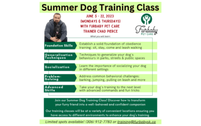 Step up your pup’s skills: Furbaby’s summer training begins!
