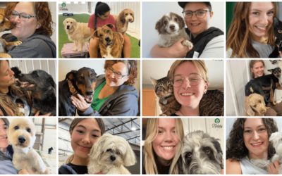 Furbaby Pet Care’s Ultimate Guide to Finding the Right Pet Daycare