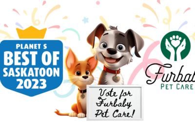 Furbaby Pet Care Nominated in Planet S Best of Saskatoon Awards 2023!