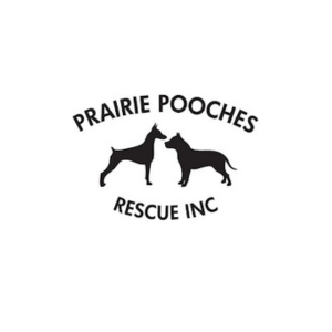 Furbaby Pet Care supports the community by partnering with Prairie Pooches Rescue Inc in Saskatoon.