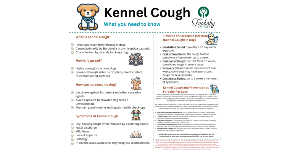 Safeguarding Our Furry Friends: Preventing Kennel Cough at Furbaby Pet Care