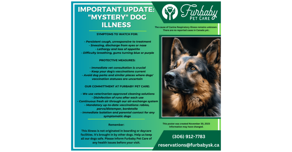 Furbaby Pet Care Addresses Rising Concerns Over Unusual Respiratory Illness in Dogs