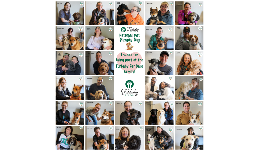 Celebrating National Pet Parents Day: A Heartfelt Thanks from Furbaby Pet Care