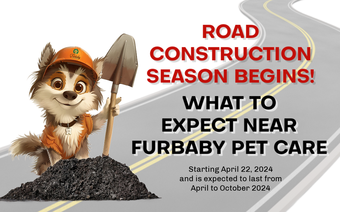 Heads Up! Upcoming Road Construction Near Furbaby Pet Care
